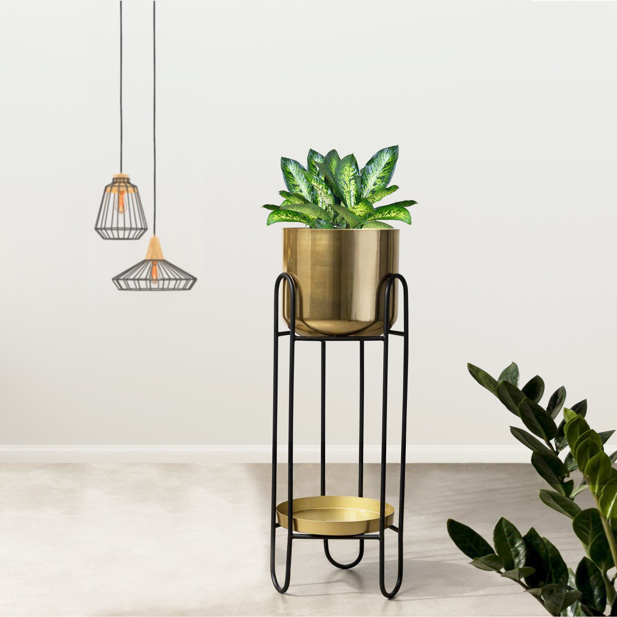 Dual Crown Black Stand & Golden Finish Pot - Medium Size Planter