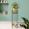 Dual Crown Black Stand & Golden Finish Pot - Large Size Planter