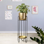 Dual Crown Black Stand & Golden Finish Pot - Large Size Planter