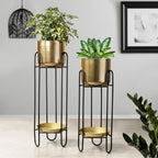 Dual Crown Black Stand & Golden Finish Pot Planters Set of 2