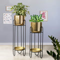 Dual Crown Black Stand & Golden Finish Pot Planters Set of 2