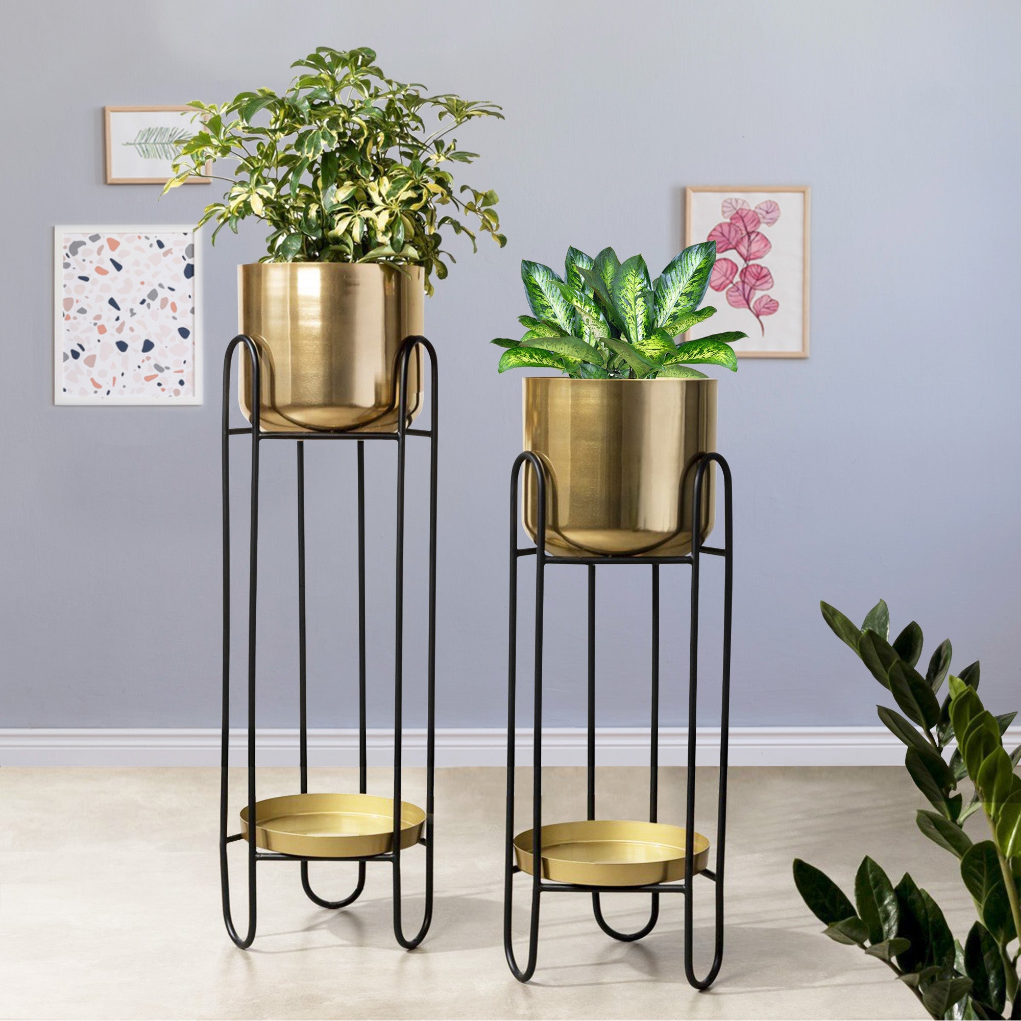 Dual Crown Black Stand & Golden Finish Pot Planters Set of 2