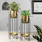 Dual Crown Black Stand & Golden Finish Pot Planters Set of 2