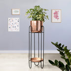Dual Crown Black Stand & Ross Gold Finish Pot - Large Size Planter