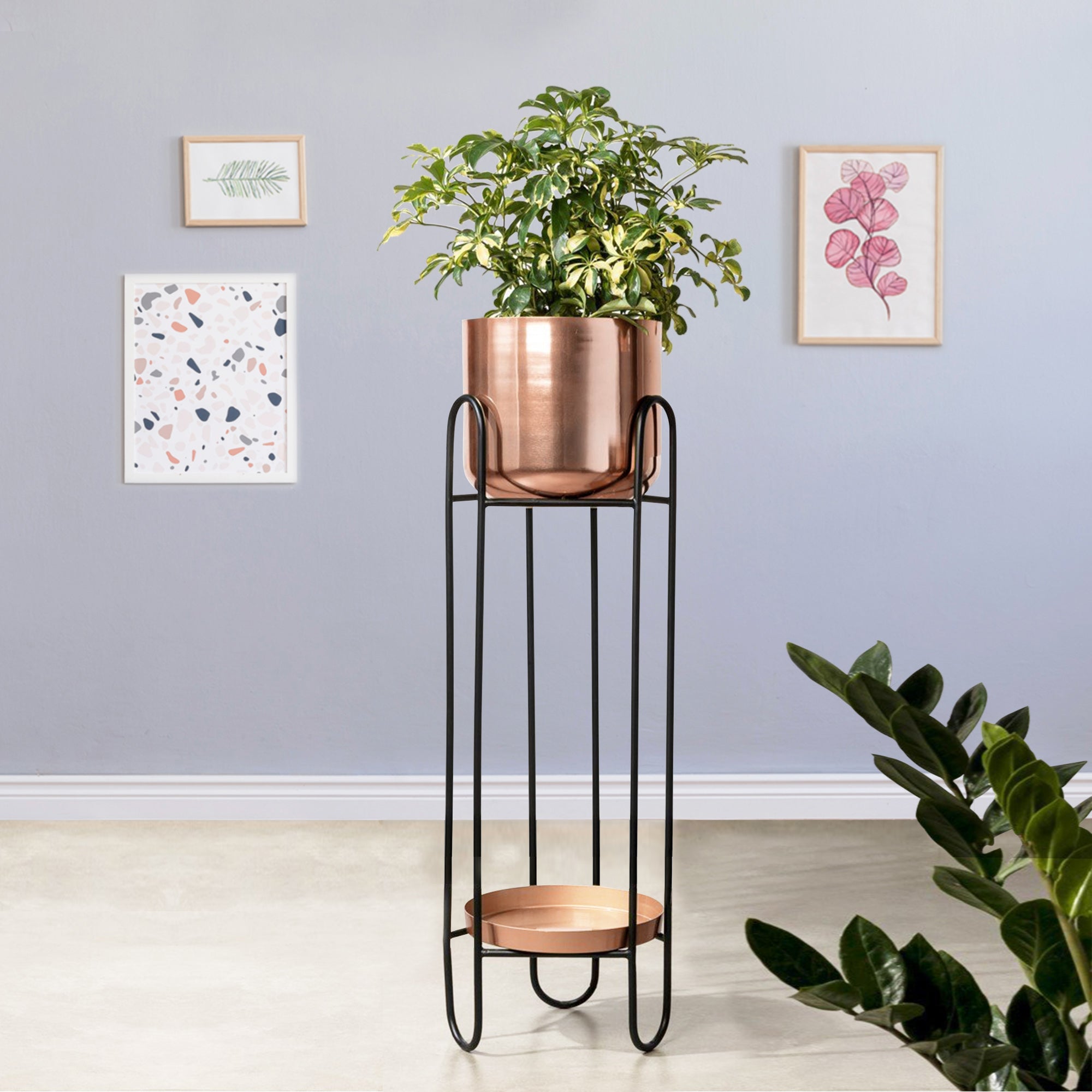 Dual Crown Black Stand & Ross Gold Finish Pot - Large Size Planter