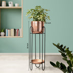 Dual Crown Black Stand & Ross Gold Finish Pot - Large Size Planter