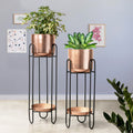 Dual Crown Black Stand & Ross Gold Finish Pot Planters Set of 2