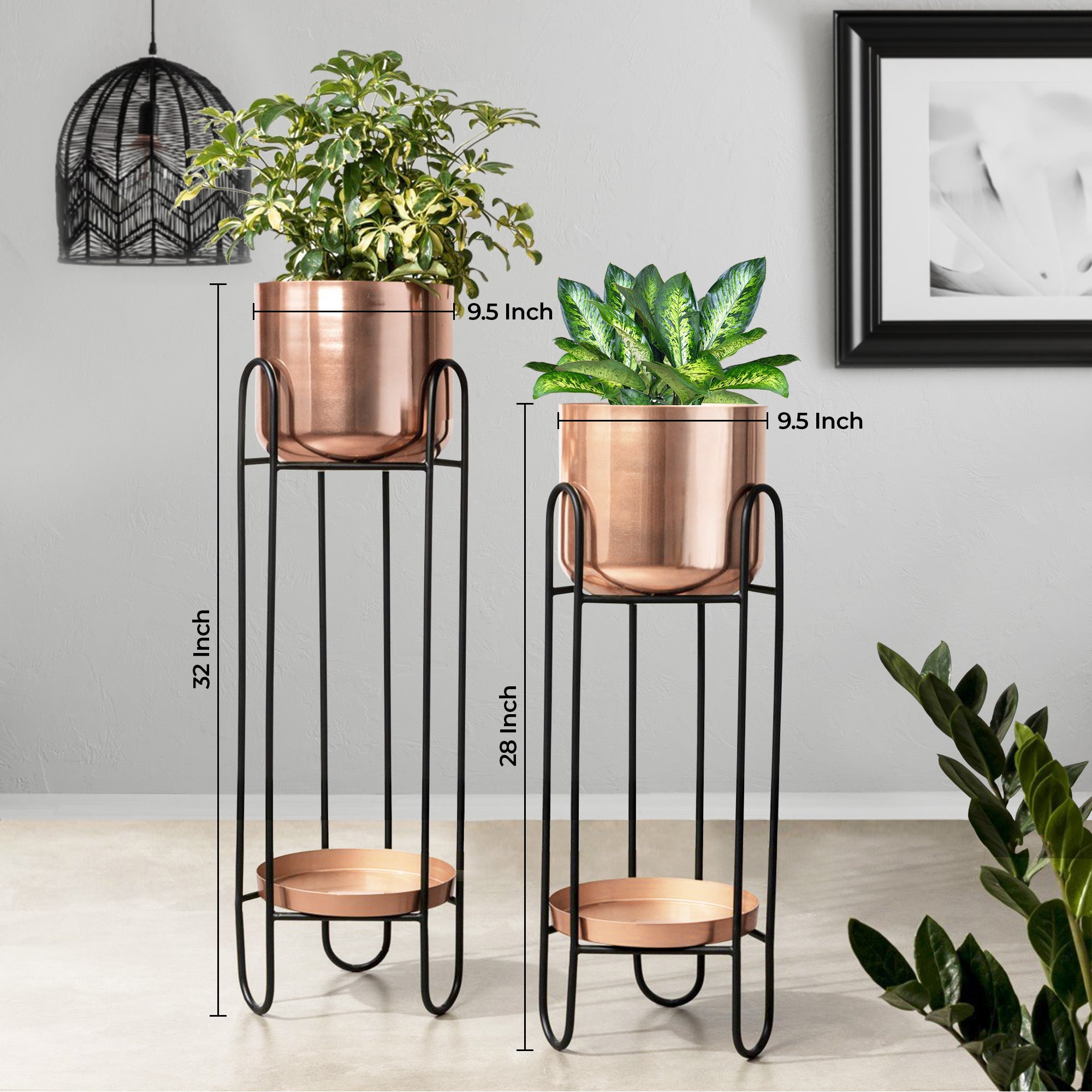 Dual Crown Black Stand & Ross Gold Finish Pot Planters Set of 2