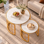 Elegant Coffee Tables Set of 2