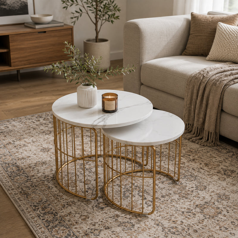 Elegant Coffee Tables Set of 2
