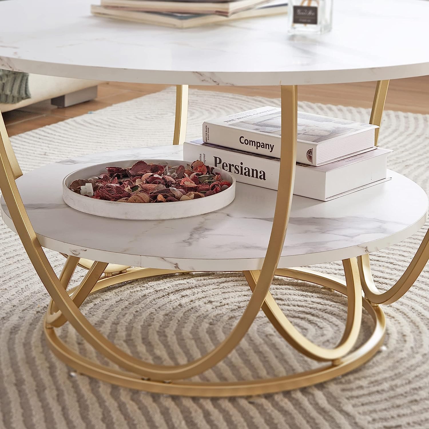 Elegant Design Modern Round Metal Finish Center Table