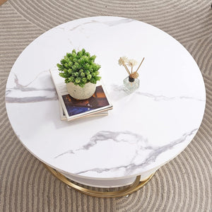 Elegant Design Modern Round Metal Finish Center Table