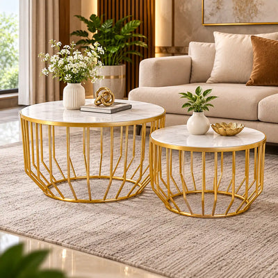 Elegant Marble Top Metal Coffee Table - Set of 2