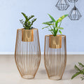 Euphoric Earth Golden Finish Planters Set of 2
