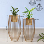 Euphoric Earth Golden Finish Planters Set of 2