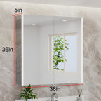 HaloLine Ambient Side Glow LED Mirror with Storage Cabinet
