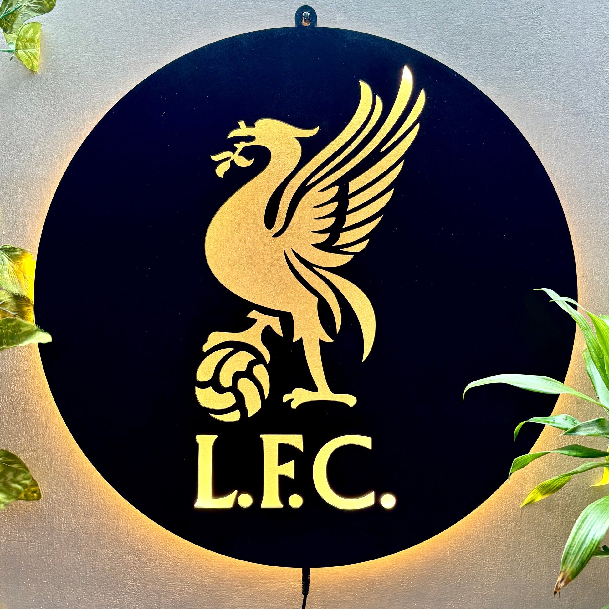 LFC LED Wall Art Light for Living Room and Wall Decor
