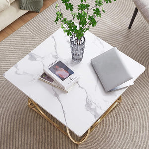 Luxury Center Table with Double Storage Self White Marble Finish