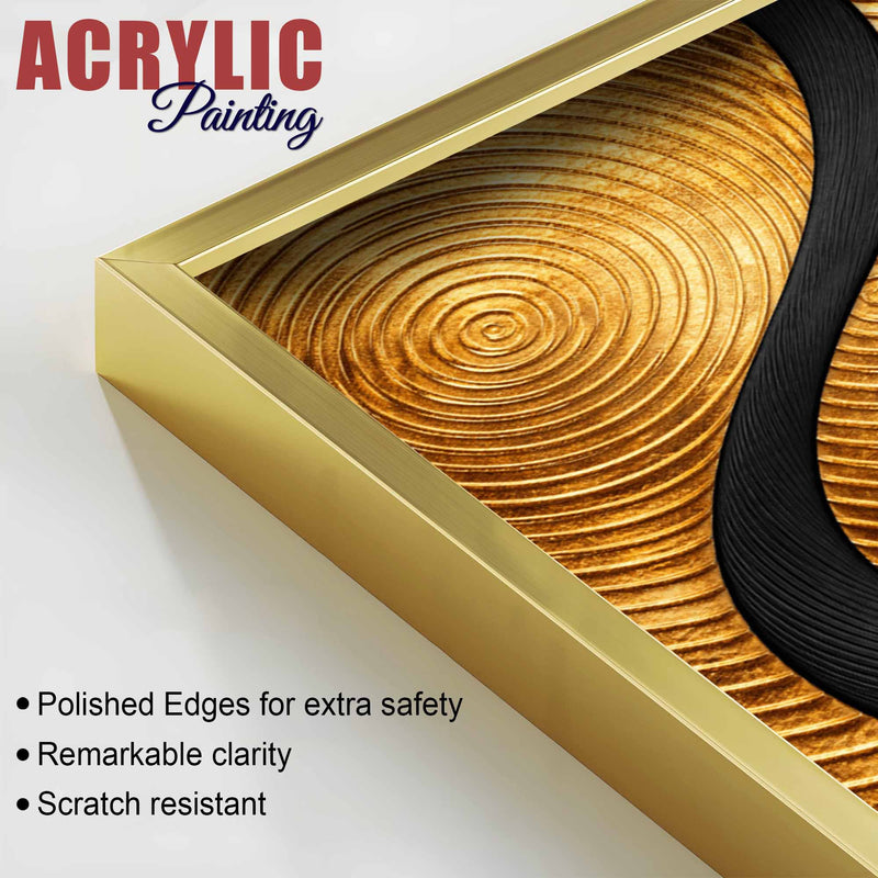 Luxury Gold and Black Concentric Circle Acrylic Floating Wall Painting Set of 2