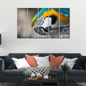 Macaw Parrot Canvas Wall Painting Set of Five