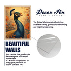 Modern Nature Wall Art Frame Set of 6
