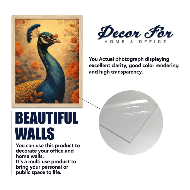 Modern Nature Wall Art Frame Set of 6