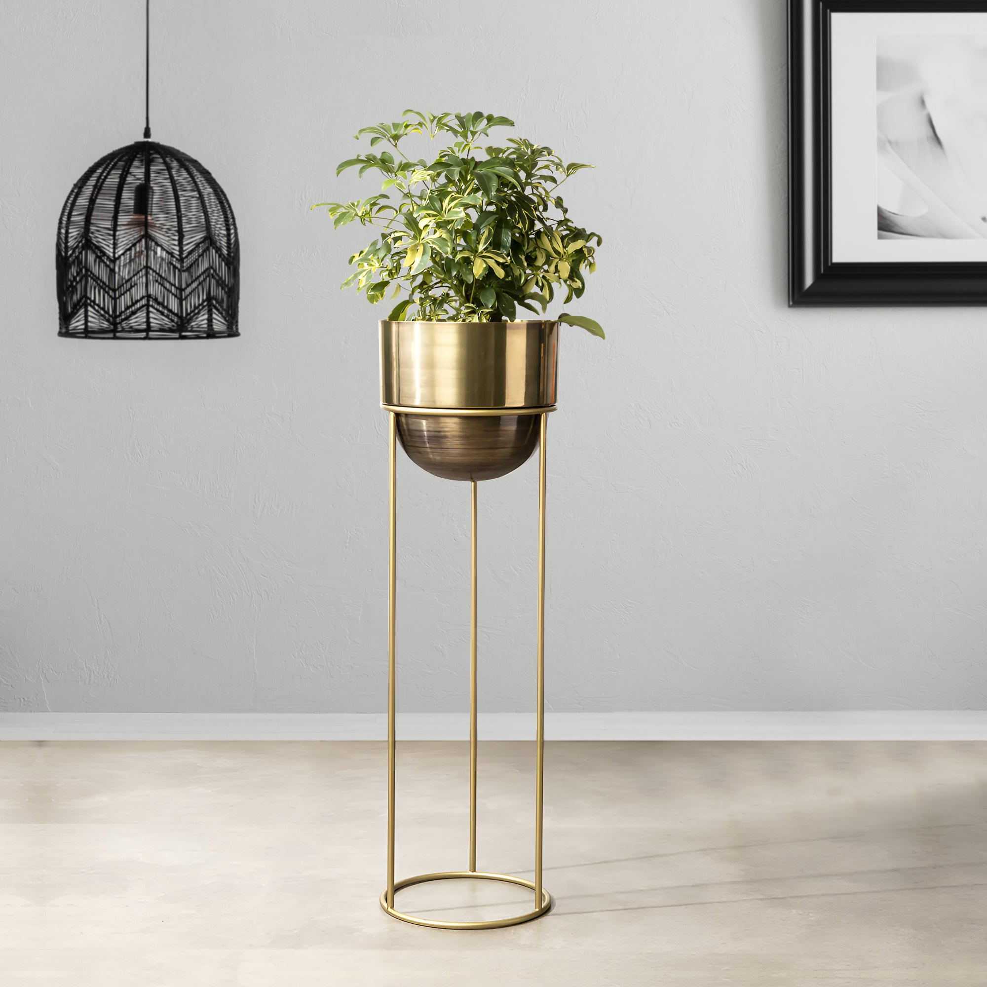 Modish Golden Finish - Large Size Planter