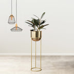 Modish Golden Finish - Medium Size Planter