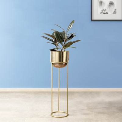 Modish Golden Finish - Medium Size Planter