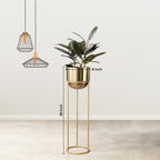 Modish Golden Finish - Medium Size Planter