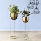 Modish Golden Finish Planters Set of 2