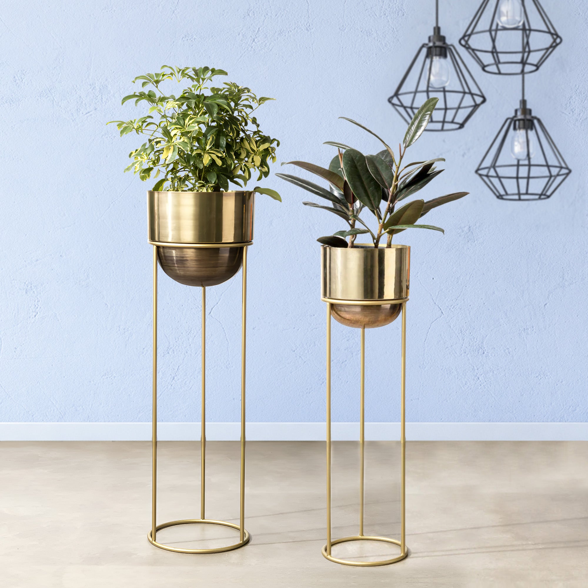 Modish Golden Finish Planters Set of 2