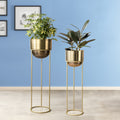 Modish Golden Finish Planters Set of 2