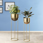 Modish Golden Finish Planters Set of 2