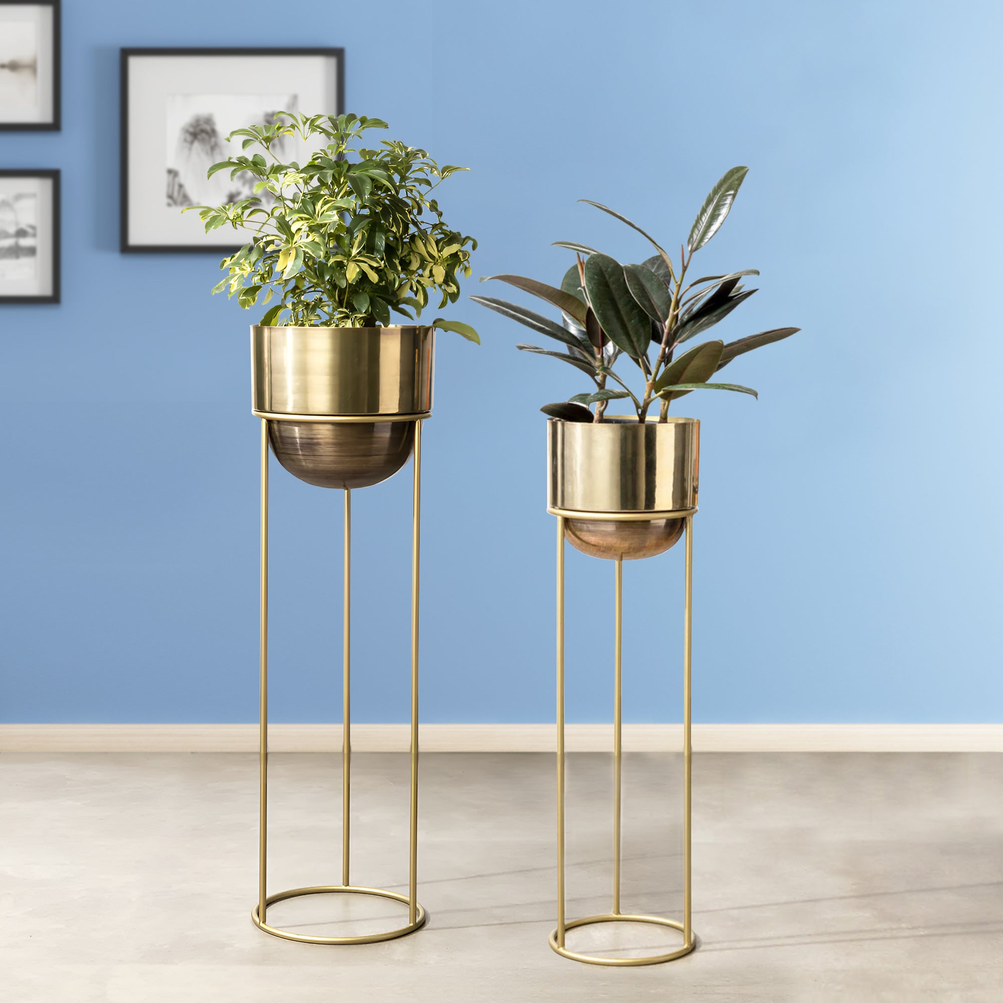 Modish Golden Finish Planters Set of 2