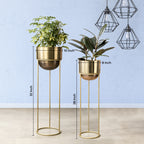 Modish Golden Finish Planters Set of 2