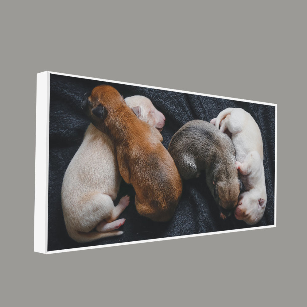 New Born Puppies Premium Canvas Wall Painting