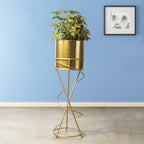 On Trend Abstract Golden Finish - Large Size Planter