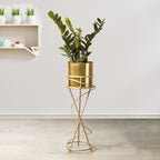 On Trend Abstract Golden Finish - Medium Size Planter