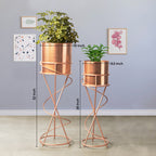 On Trend Abstract Ross Gold Stand & Ross Gold Finish Pot Planters Set of 2