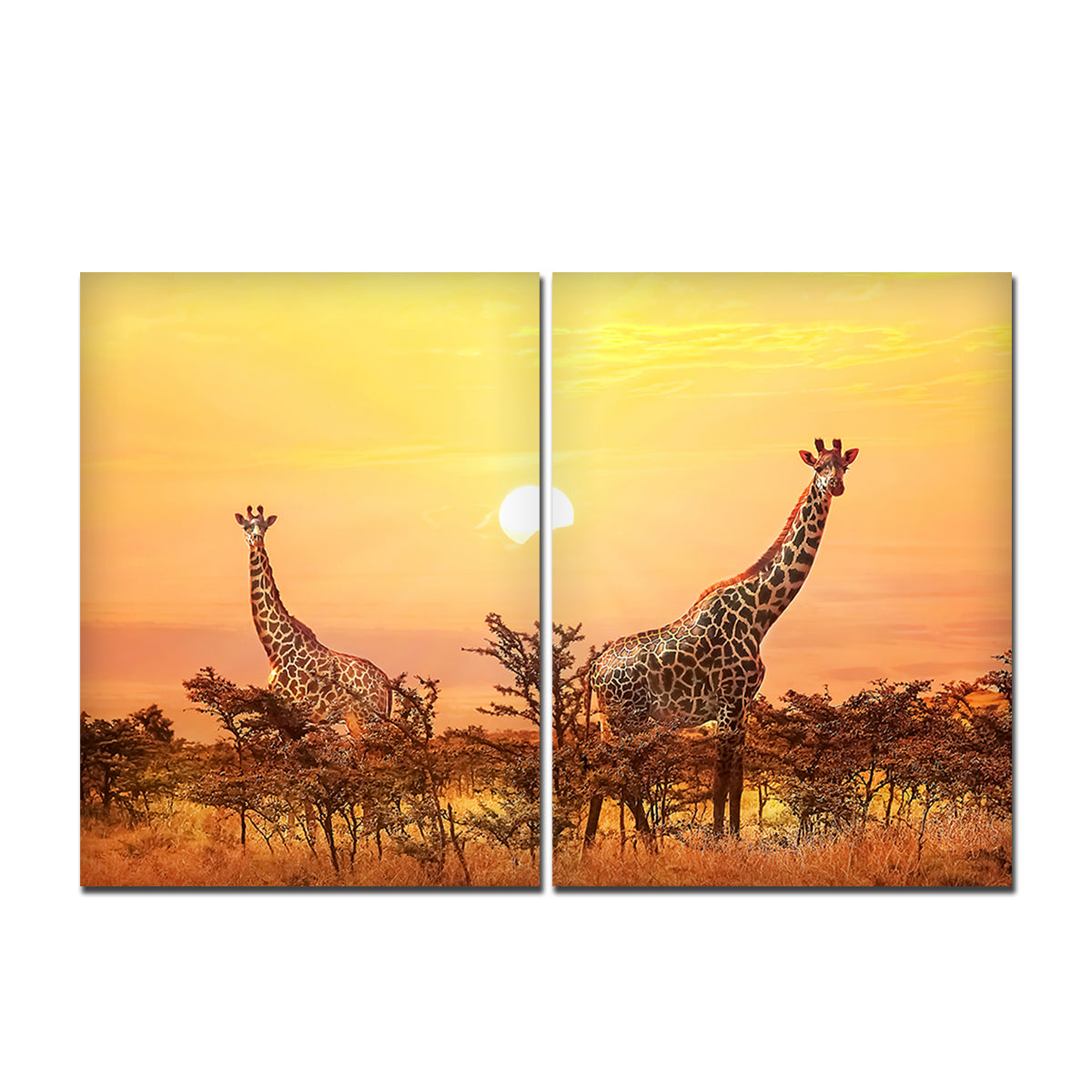 Premium 2 Pieces Wall Painting of Giraffes in Sunset