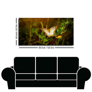 Premium Canvas Wall Painting of A Beautiful Butterfly in Forest