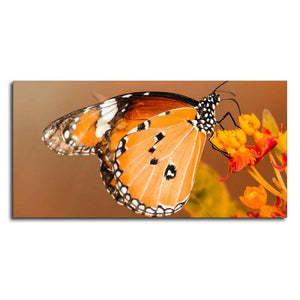 Premium Canvas Wall Painting of Beautiful Butterfly on Flower