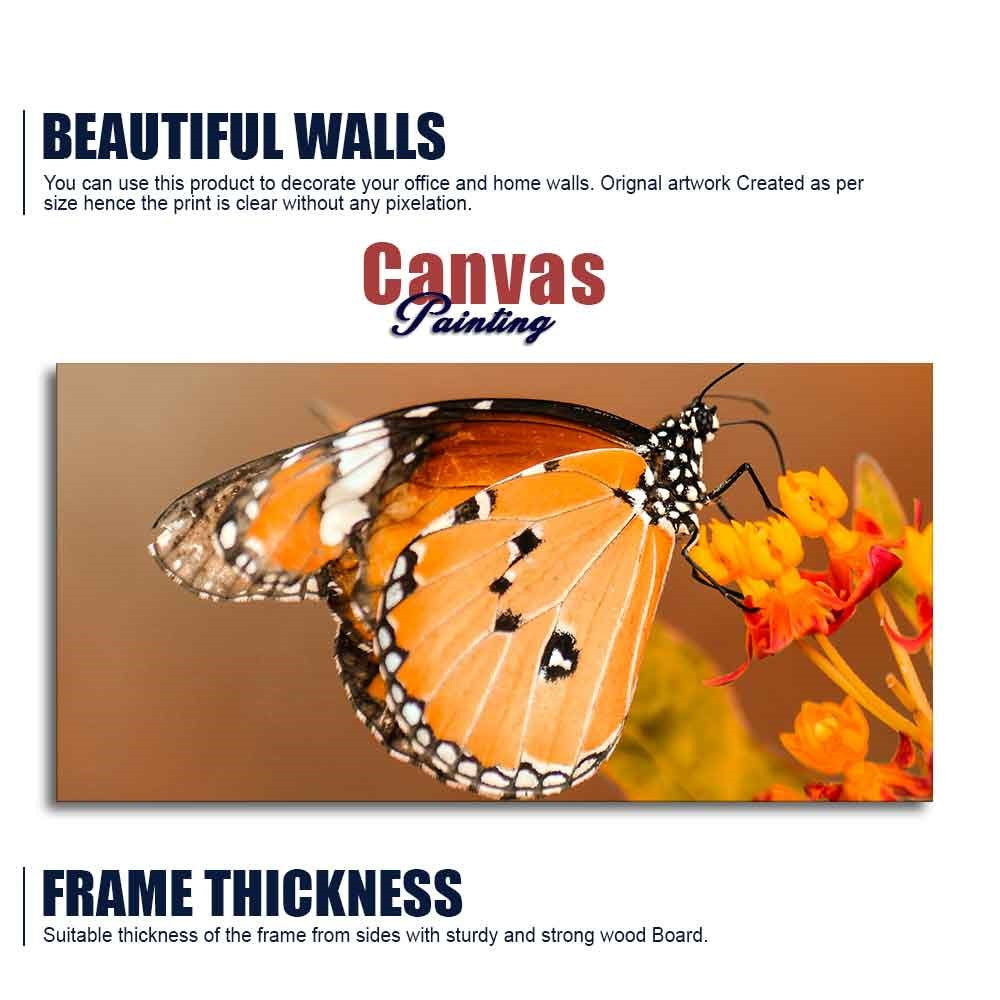 Premium Canvas Wall Painting of Beautiful Butterfly on Flower