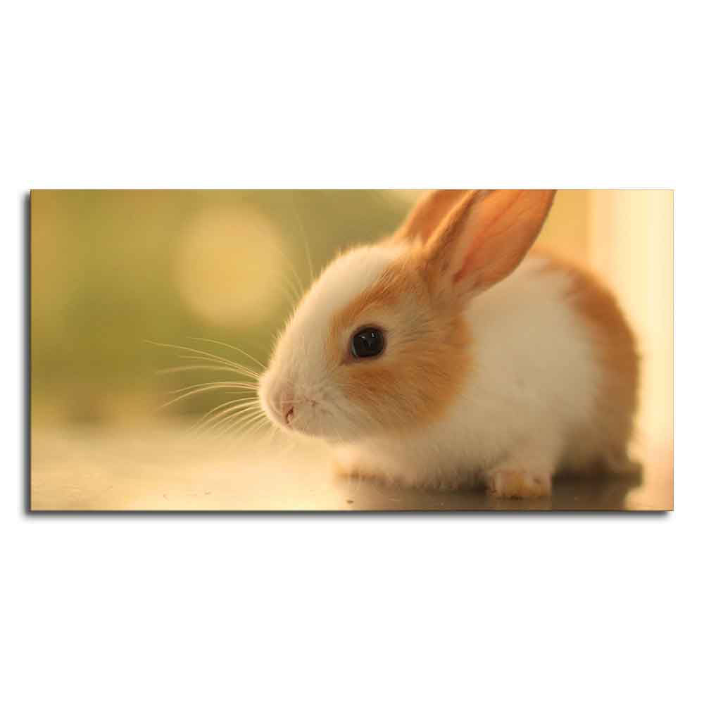 Premium Canvas Wall Painting of Cute White & Brown Bunny