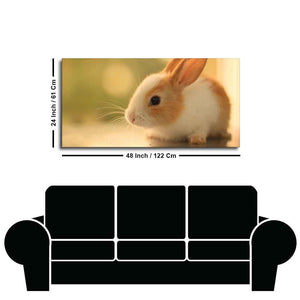 Premium Canvas Wall Painting of Cute White & Brown Bunny