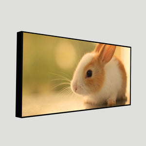 Premium Canvas Wall Painting of Cute White & Brown Bunny