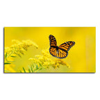 Premium Canvas Wall Painting of Monarch Butterfly on Yellow Flower