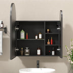 Premium Dual Arched Bathroom Storage Mirror with Black Finish