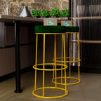 Premium Green Velvet Bar Lounge Chair with Golden Frame